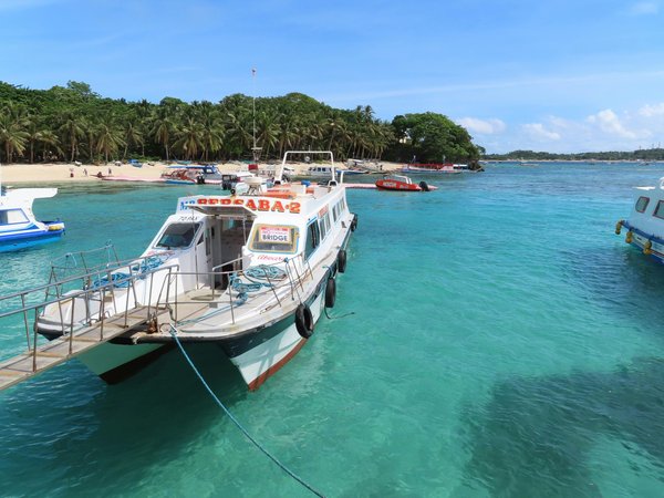 Sortie en bateau à isla contoy : découvrez la nature préservée